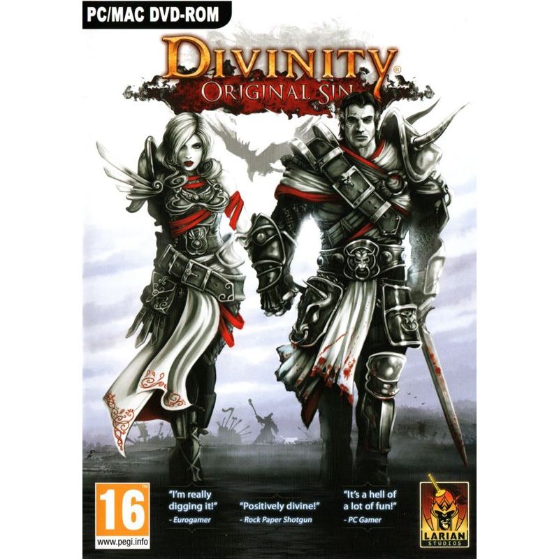 Divinity Original Sin PC Games Download